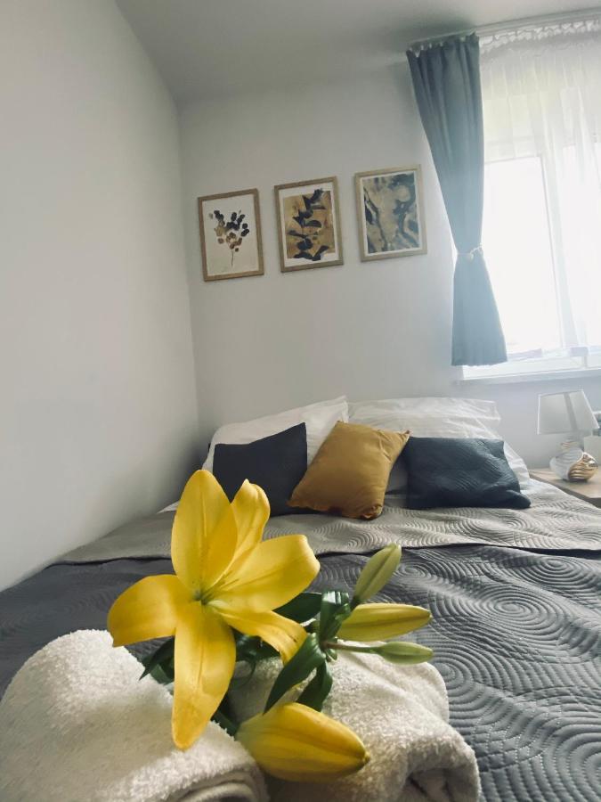 Apartamenty Majka Затор Екстериор снимка